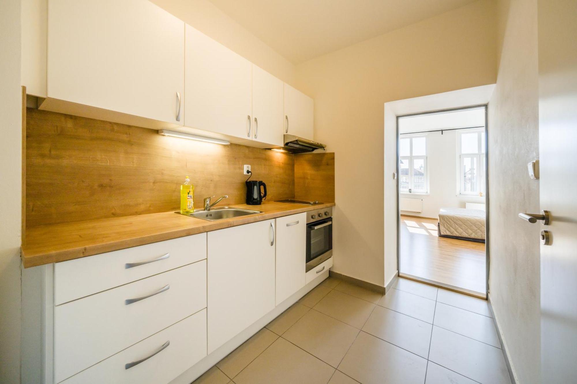Apartia Vlhka 26, Brno-Center Екстер'єр фото